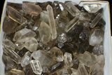 Lot: Lbs Smoky Quartz Crystals (-) - Brazil #77825-1